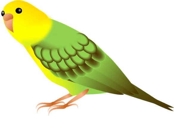 トップコレクション セキセイ インコ イラスト 無料 Ituirasuto