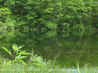 √完了しました！ 壁紙 初夏 風景 265493-壁紙 初夏 風景