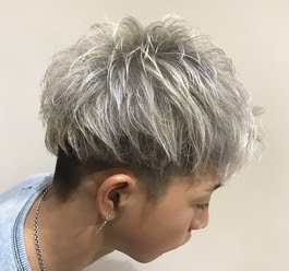 50 シルバー ヘア カラー メンズ 最高のヘアスタイル画像