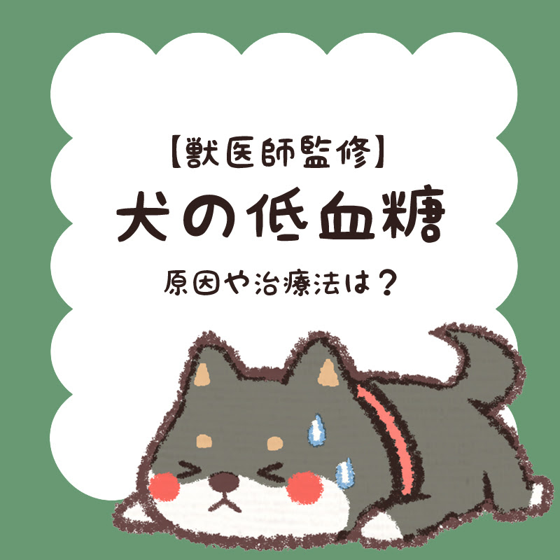 犬 ブドウ糖 老犬 犬 ブドウ糖 老犬 Liburanteruskejepang