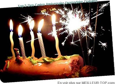 Carte Anniversaire Virtuelle Gratuite Dromadaire Nanaryuliaortega Blog