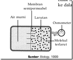 Contoh Difusi Dan Osmosis Dalam Kehidupan Sehari-hari 