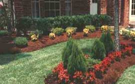 Owner of todd quality landscape services, llc. Ace Landscaping Services