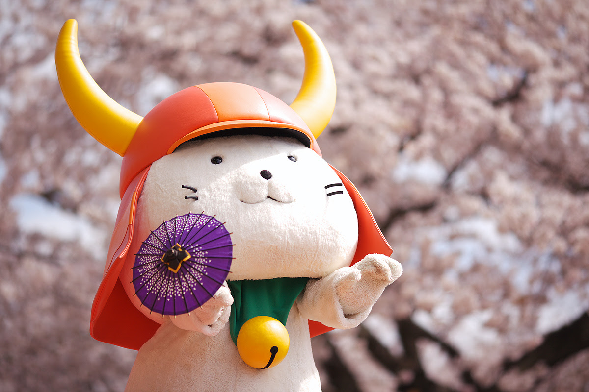 ひこ にゃん 壁紙 Kabekinjoss
