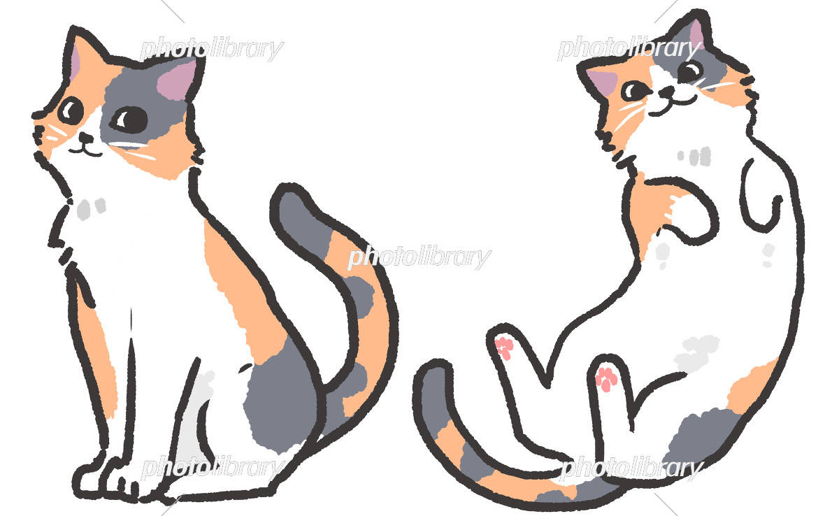 綺麗な猫 可愛い イラスト 手書き すべての動物画像