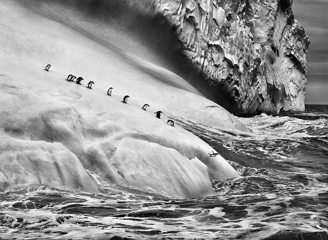 Salgado 3