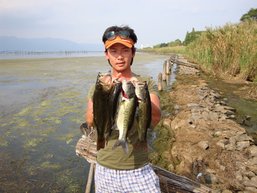 無料印刷可能琵琶湖 釣り すべての魚の画像