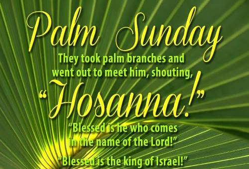 I endeavor to cite biblical evidence. Palm Sunday 2021 Quotes From The Bible Palm Sunday Wishes Images