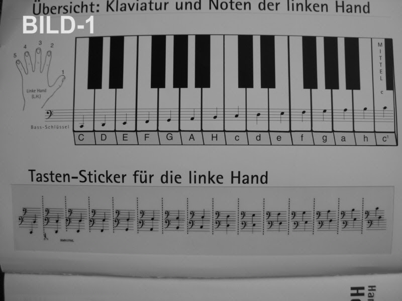 Klaviertastatur zum ausdrucken a4,noten lernen klavier pdf,klaviertasten zum ausdrucken,klaviertastatur beschriftet zum mai meine kleine notenlehre folge den noten mit dem finger wie heissen die noten ? Beim Klavier Und Keyboard Die Noten Fur Die Rechte Hand