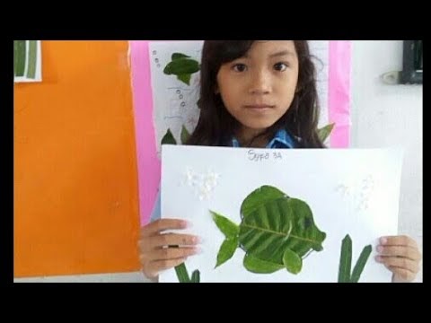 Berkreasi Membuat Karya Mozaik dari Daun SBDP Kelas 3 SD  