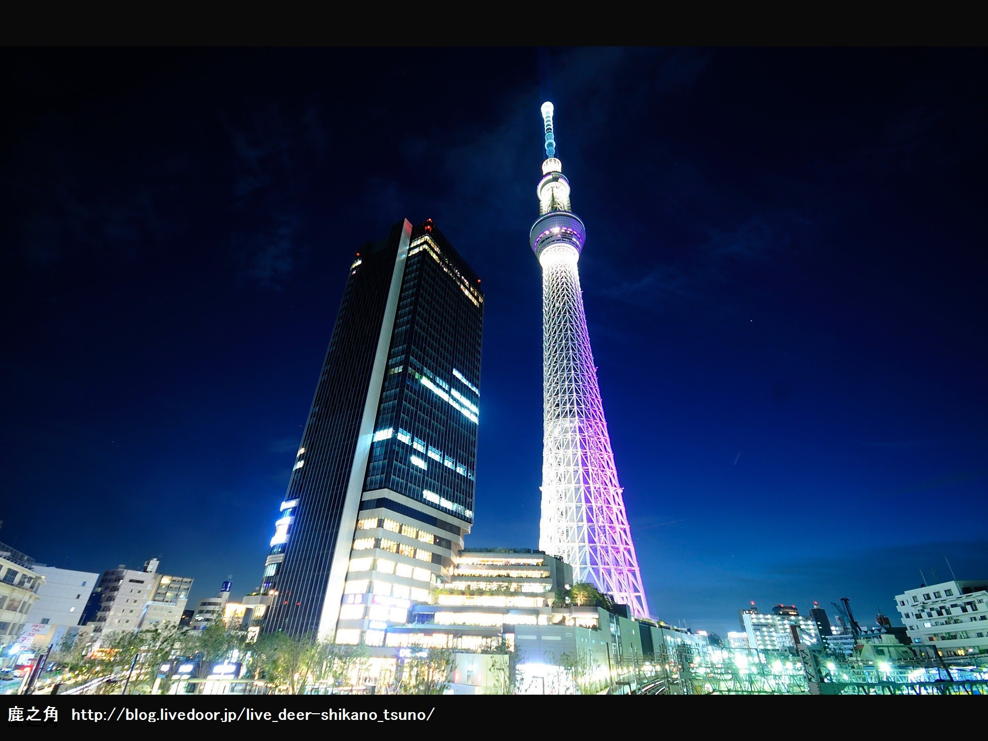 すべての花の画像 100 Epic Bestスカイツリー 夜景 壁紙