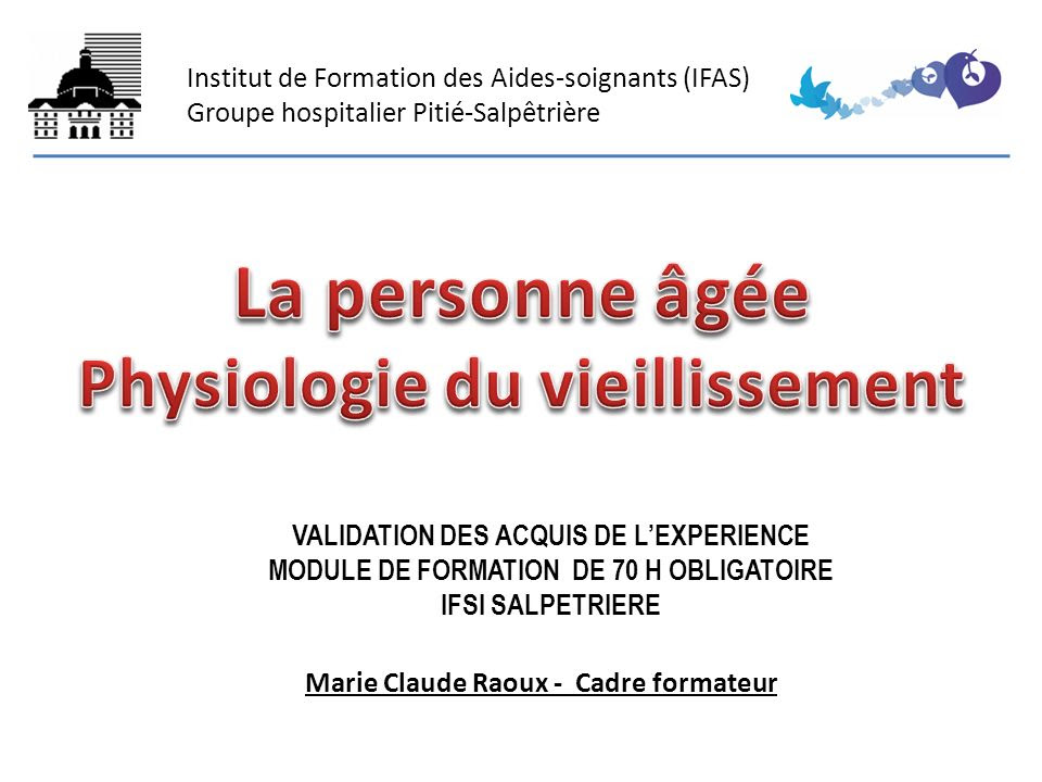 May 14, 2021 · voici un exemple de cv : Exemple De Projet Professionnel Pour La Formation Aide Soignante Mika Put X