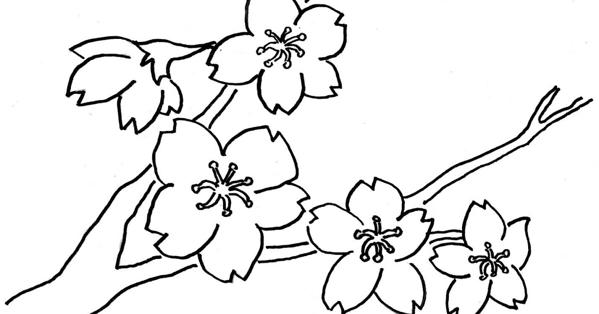 Menggambar Sketsa  Gambar  Batik Bunga  Yang Mudah  Digambar 