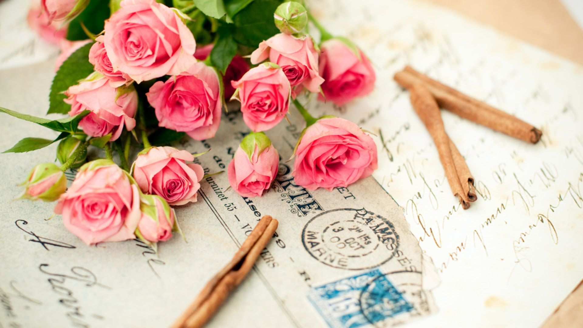 驚くばかりピンク 薔薇 壁紙 最高の花の画像
