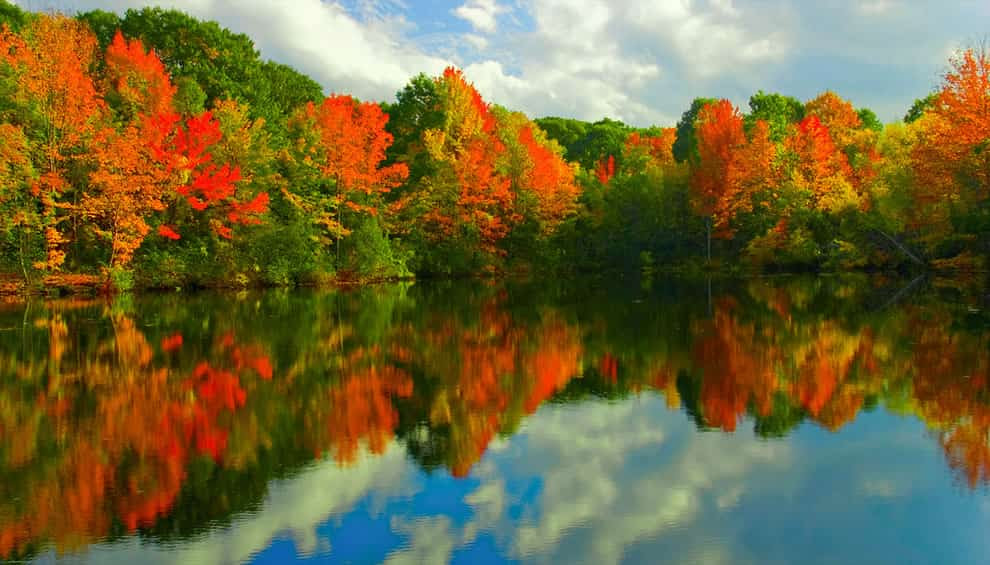 Old Ice Pond at Hinkley Park, autumn in Maine