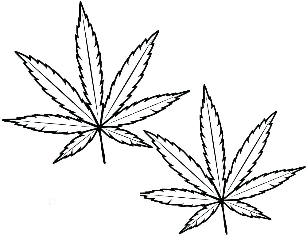 Check spelling or type a new query. 35 Latest Simple Weed Plant Drawing Barnes Family