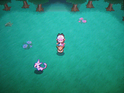 0以上 ポケモン ホワイト 2 イーブイ 100 で最高の画像