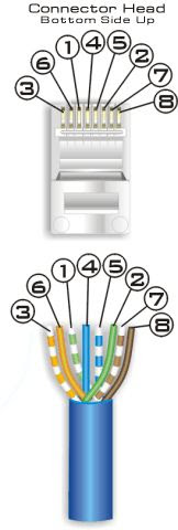 Cat 5 wire colors get rid of wiring diagram problem. Ethernet Wiring Diagram Large