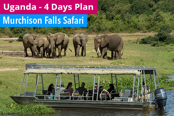 Murchison Falls Safari