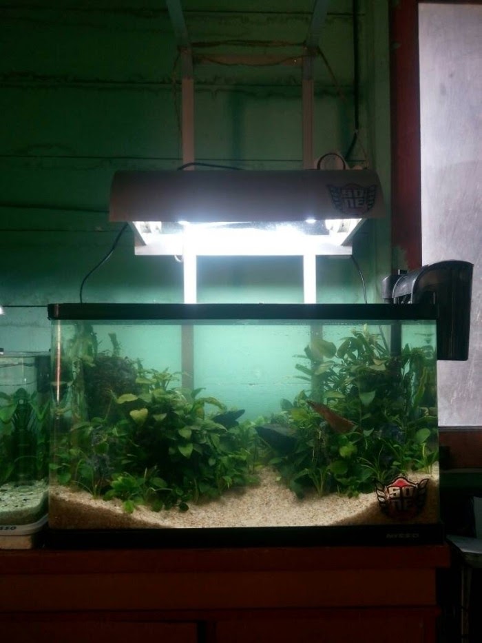 24+ Toko Aquarium, Inspirasi Terbaru!