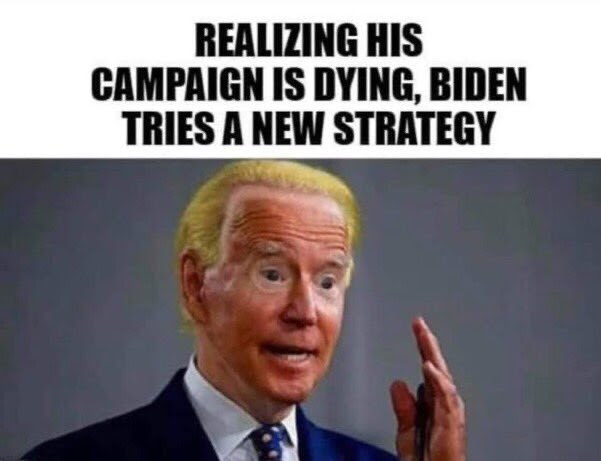 Stupid picture of Biden made up to look like Trump.