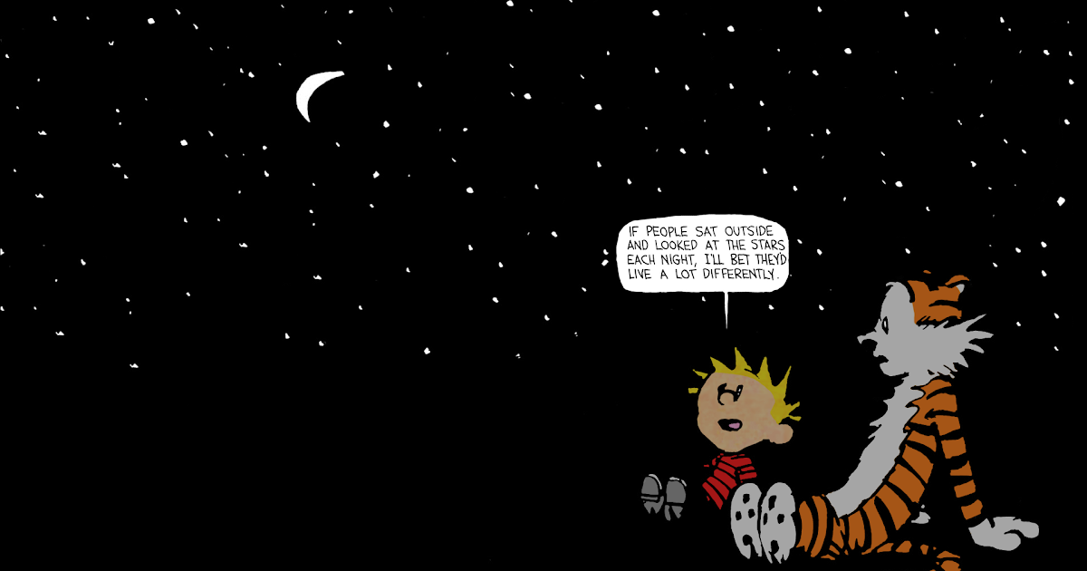 Best Calvin And Hobbes Quotes Reddit