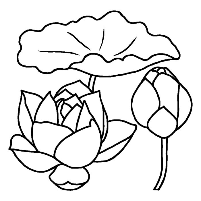 イラスト集 無料ダウンロード蓮 イラスト 白黒