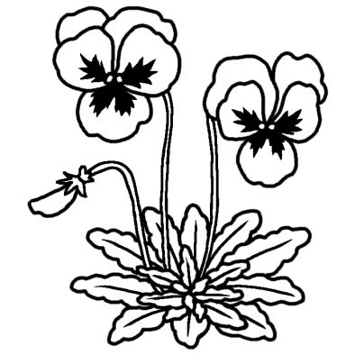 無料印刷可能春の 花 イラスト 白黒 すべての美しい花の画像