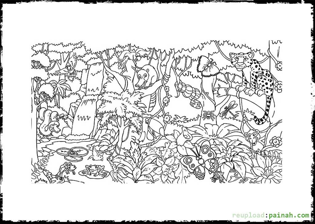 ccbcevents jungle scene coloring pages