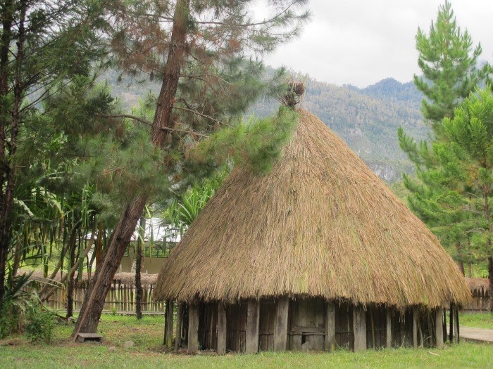 Gambar Miniatur Rumah Adat Papua - Blog Images