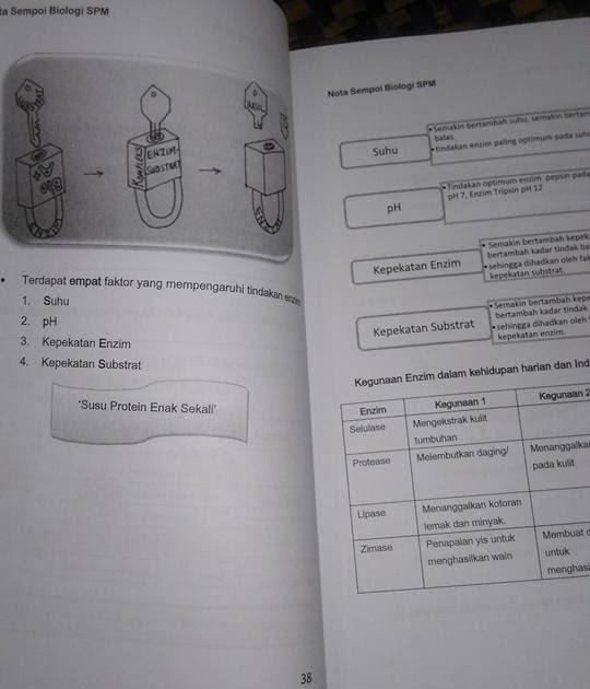 Soalan Biologi Tingkatan 4 Akhir Tahun - Wiluk Quotes