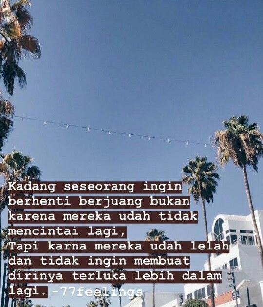 Quotes Bijak Lucu Bahasa Inggris - Kata Mutiara Cinta Lucu Bahasa