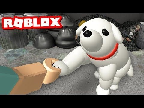 Robux Pro Icu Abandoned Roblox Accounts - chrisatm roblox profile