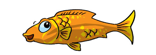 Gambar  Cartoon Ikan  Gambar  C
