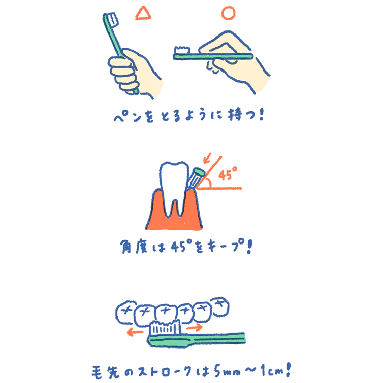 すべての動物の画像 50 素晴らしい歯ブラシ イラスト 簡単