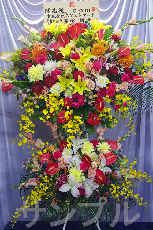 すべての美しい花の画像 最高開店祝い 花 名前