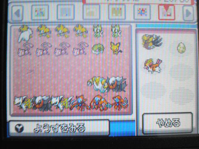 ほとんどのダウンロード ポケモン 中古 検索画像の壁紙