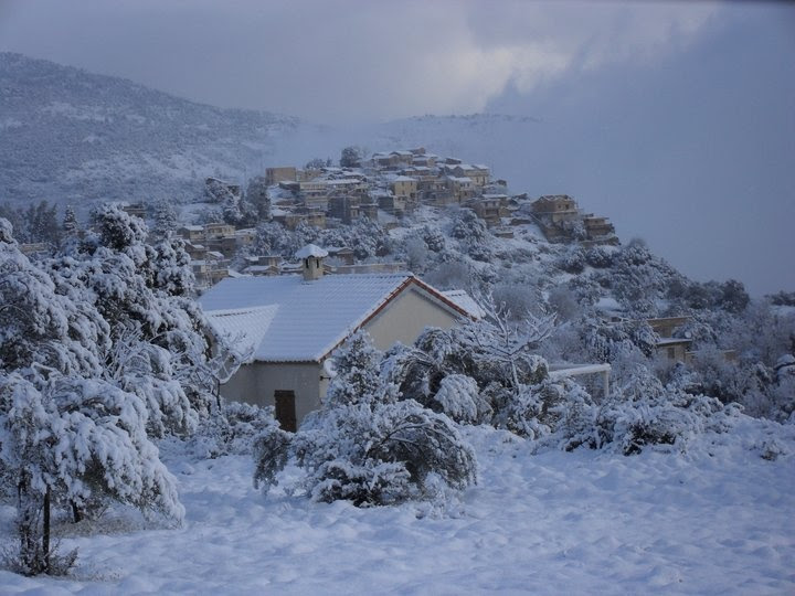 On retrouve un paysage aux caractéristiques similaires sur les plateaux de la petite kabylie et du constantinois méridional, entre sétif et oum el bouaghi. Miss Kabylia 2010 2011