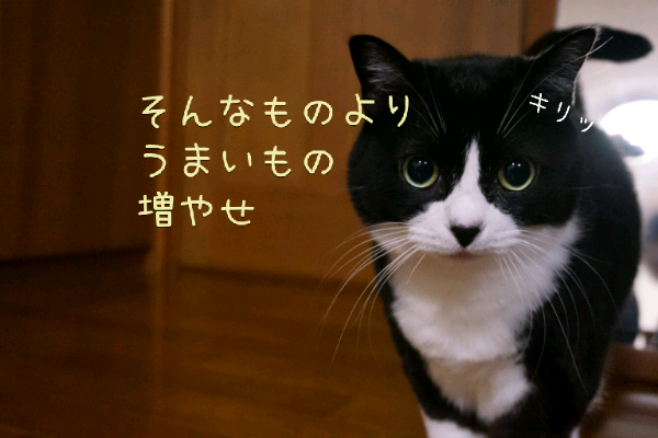 ベスト50 白黒 猫 キャラクター ただのディズニー画像