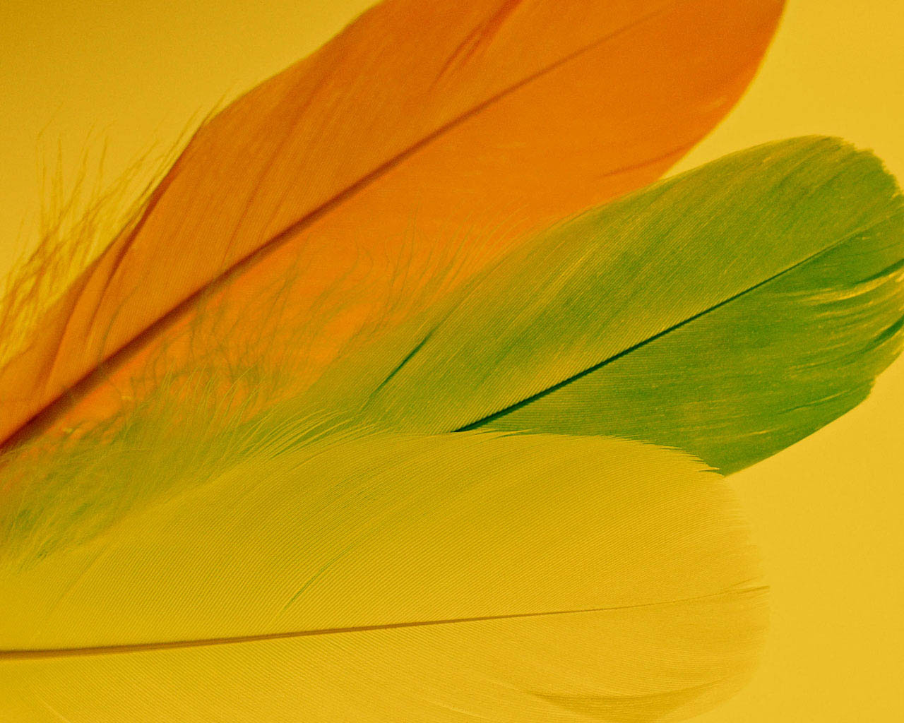 50 お金 壁紙 Jpbestwallpaper