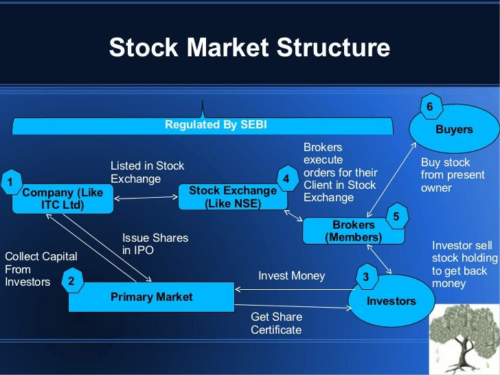 basixfx forex