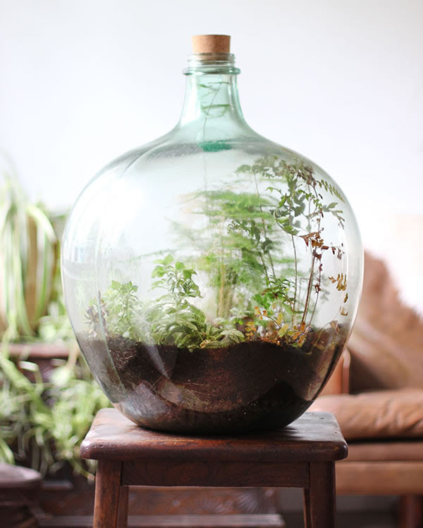 Reciclando garrafas de vidro para decorar a casa. Tudo Sobre Jardins De Vidro 24 Fotos Para Inspiracao Lar Doce Lar