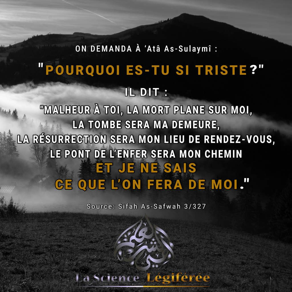 Proverbe Sur Lhypocrisie De La Famille Killopps