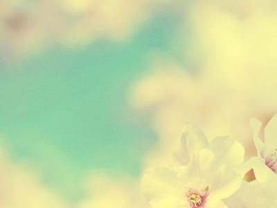 おしゃれ 春 壁紙 Iphone の最高のコレクション すべての美しい花の画像