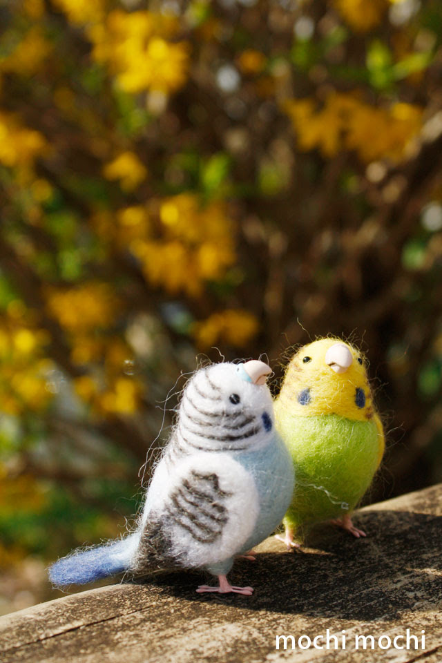 すべての花の画像 新鮮なiphone 壁紙 インコ