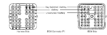 3406e 40 Pin Ecm Wiring Diagram Pdf