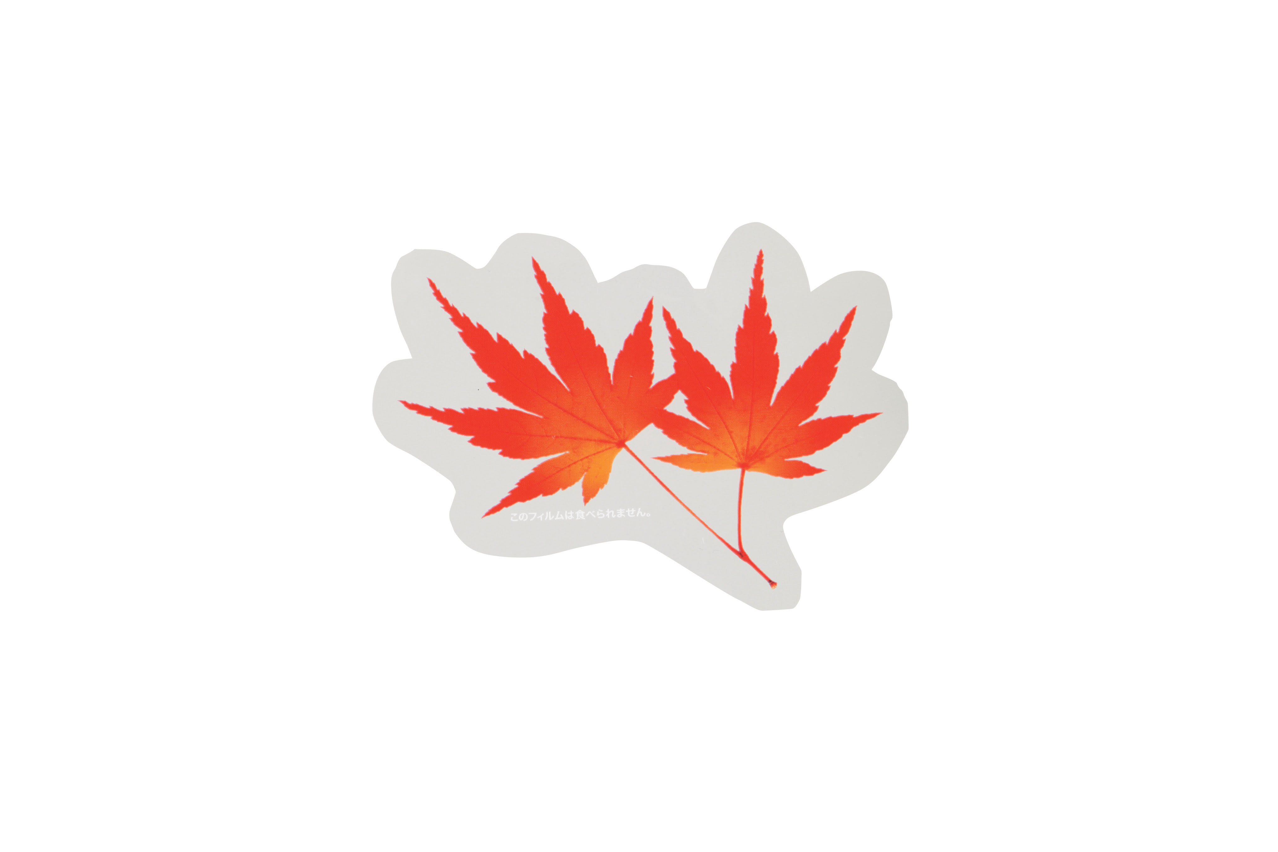 Hd限定もみじ の 葉っぱ すべての美しい花の画像
