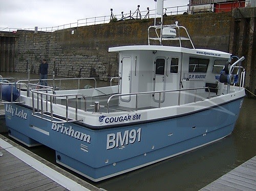 pr boat: cougar catamaran 8m boat