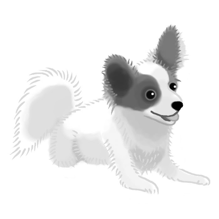 アニメ画像について 新着パピヨン イラスト 白黒