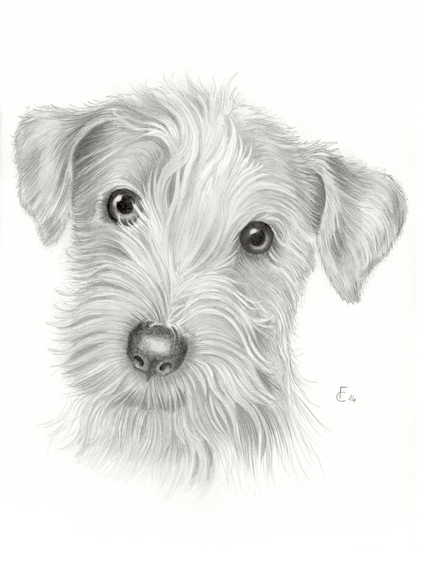 Siamo stati ricerca di questa immagine attraverso web e è venuto da. Disegni A Matita Di Animali